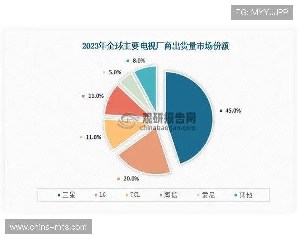 杭州排球队在钻石联赛中的节奏表现分析与未来展望